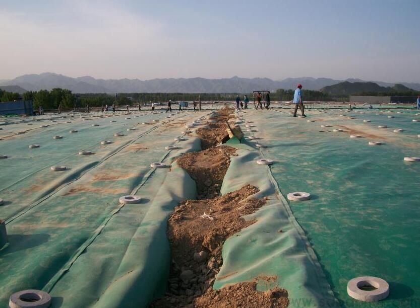 高密度聚乙烯91香蕉视频下载地址膜的成型工藝有兩種類型  推廣前景廣闊