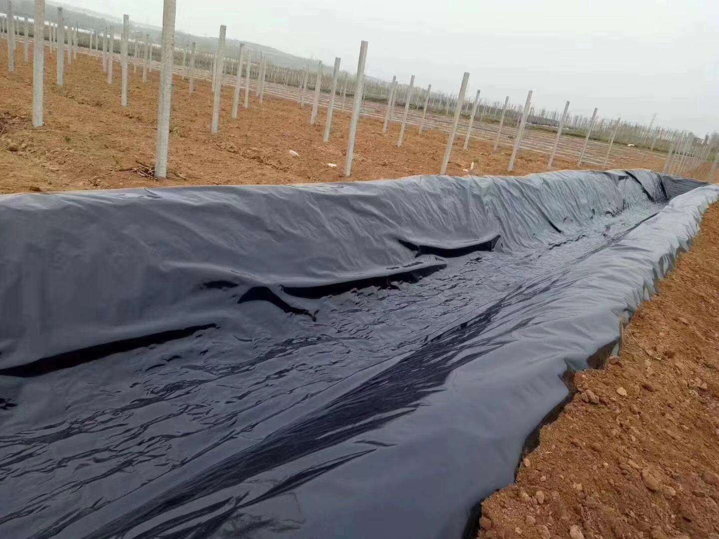 91香蕉视频下载地址膜常用於垃圾填埋場、水庫等，其滲透性能極其重要