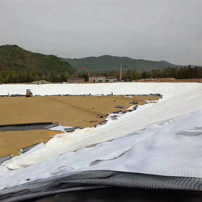 設計容積50萬m3的調蓄水池防滲體采用方式?