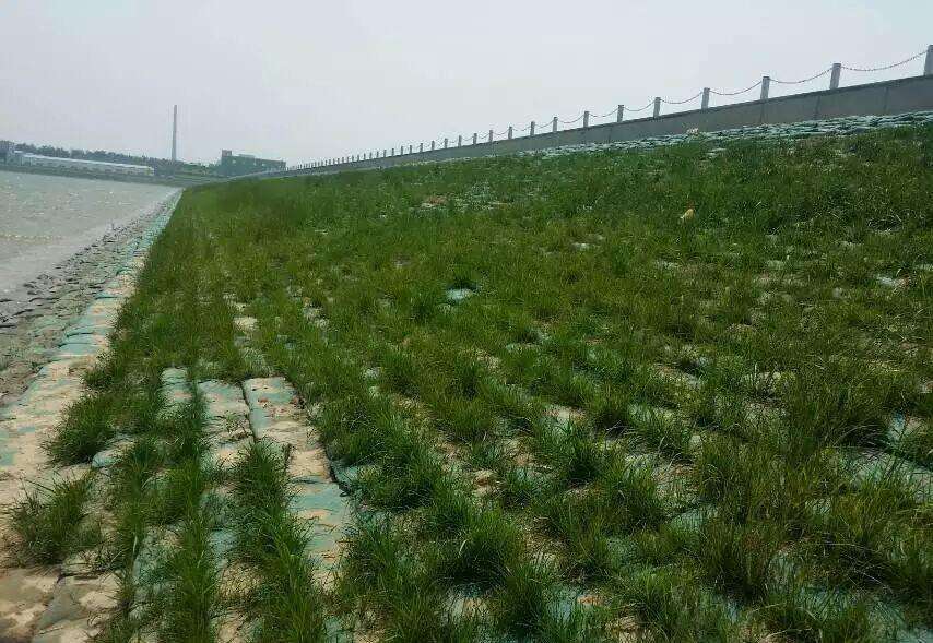 常用的海島邊坡修複技術有哪些？如何修複海島邊坡？