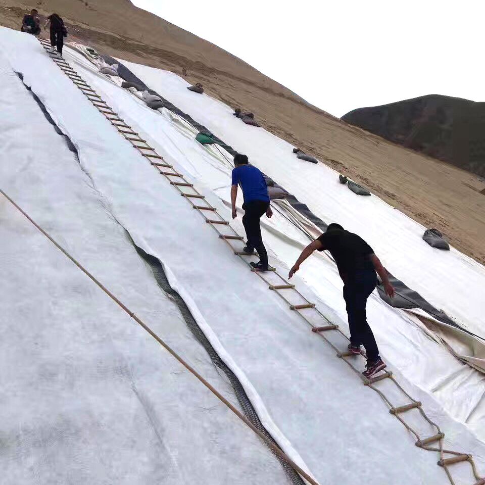 91香蕉视频下载地址合成材料在大壩工程中的應用及注意事項